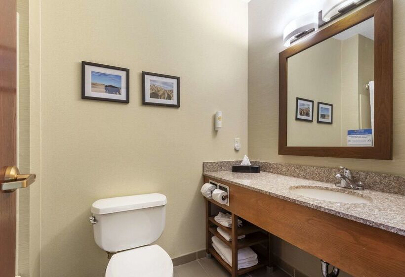 בית מלון כפרי Comfort Inn & Suites