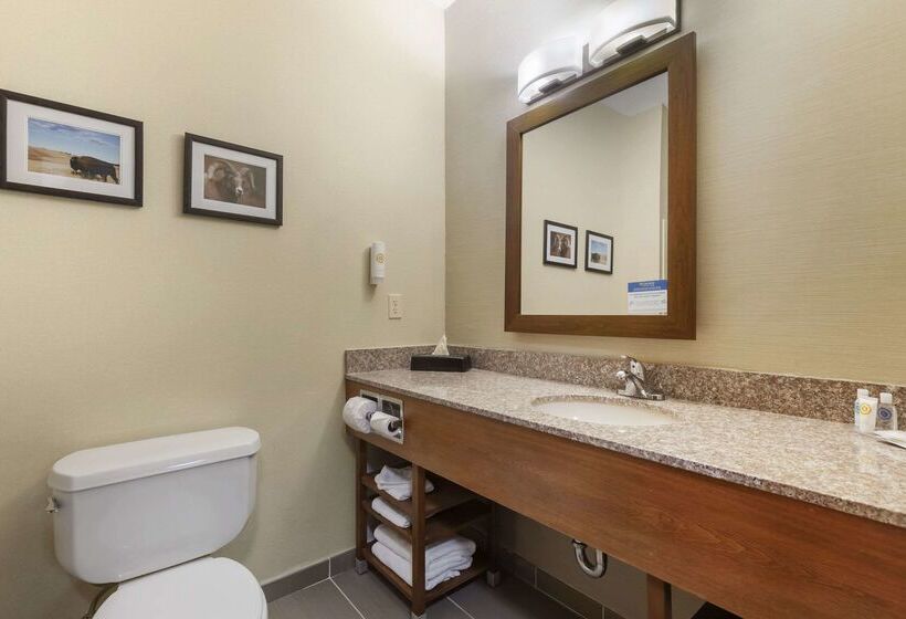 בית מלון כפרי Comfort Inn & Suites