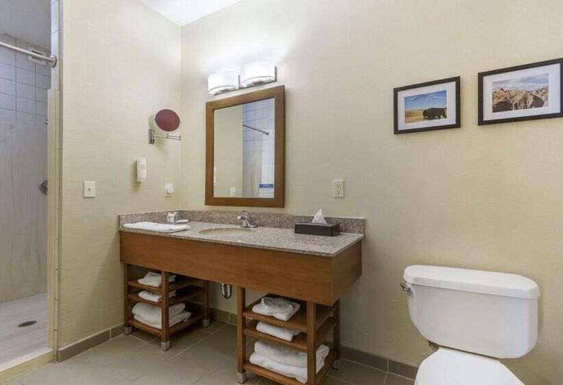 בית מלון כפרי Comfort Inn & Suites