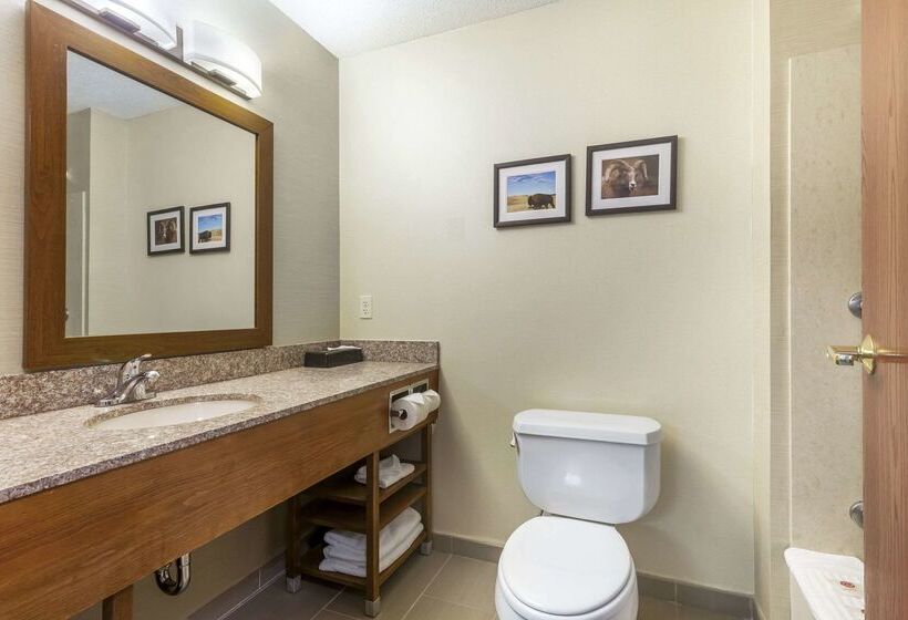 בית מלון כפרי Comfort Inn & Suites