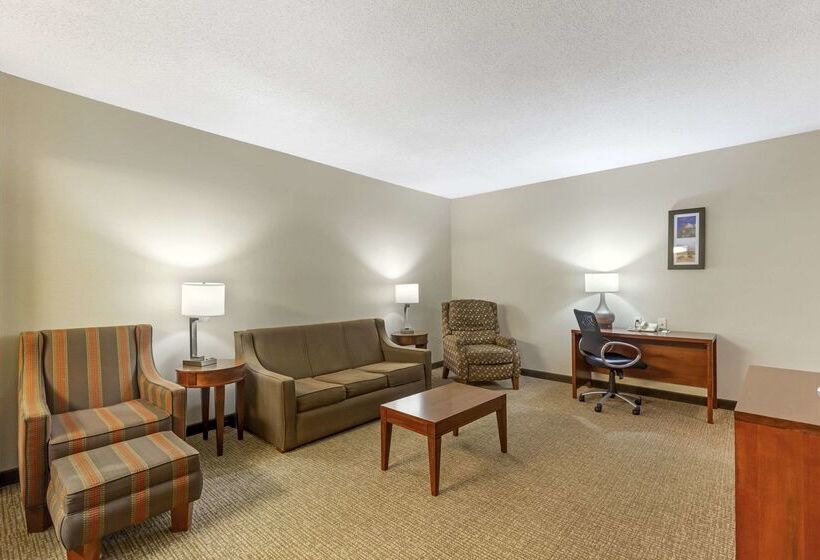 בית מלון כפרי Comfort Inn & Suites