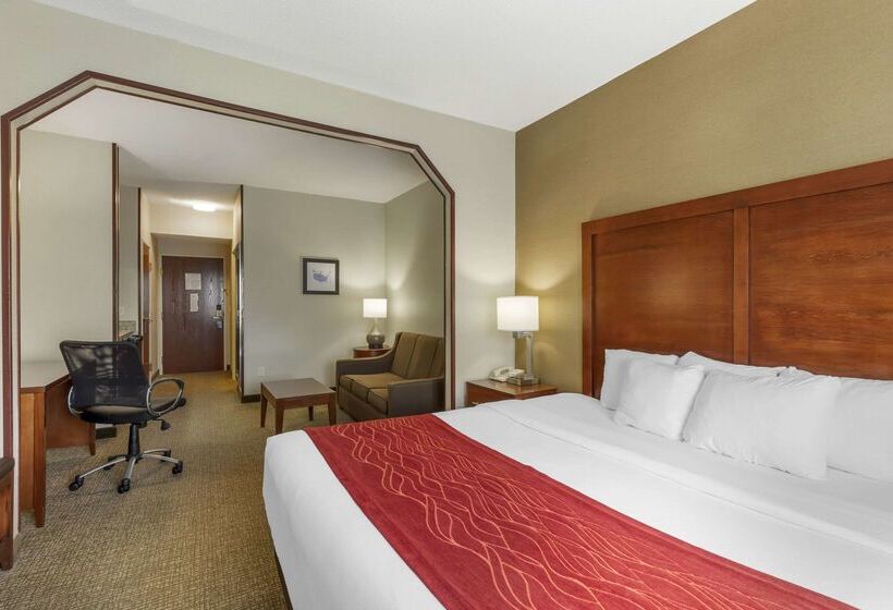 בית מלון כפרי Comfort Inn & Suites