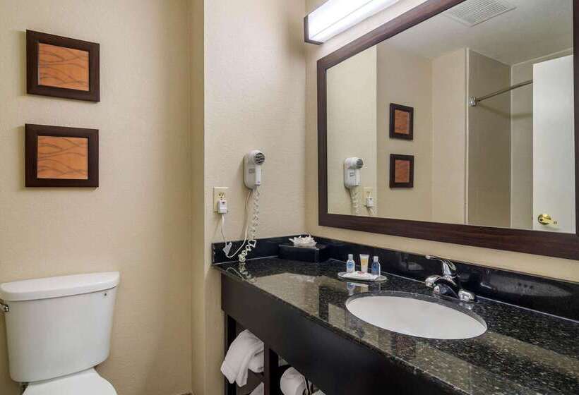 فندق Comfort Inn & Suites Atlanta Smyrna