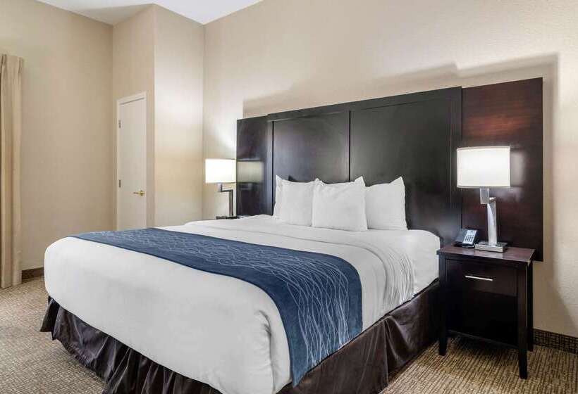 فندق Comfort Inn & Suites Atlanta Smyrna