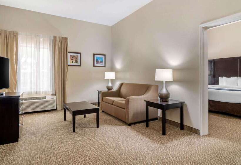 فندق Comfort Inn & Suites Atlanta Smyrna