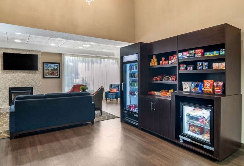 فندق Comfort Inn & Suites Atlanta Smyrna