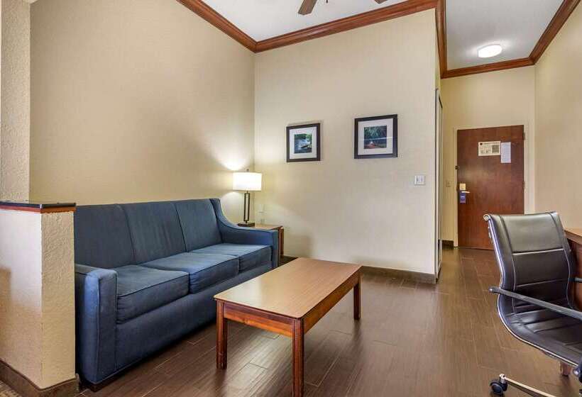 فندق Comfort Inn & Suites Statesboro  University Area