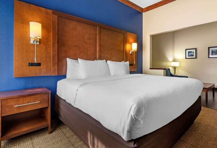 فندق Comfort Inn & Suites Statesboro University Area