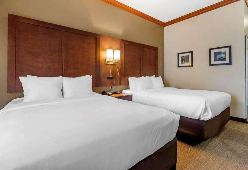 فندق Comfort Inn & Suites Statesboro  University Area