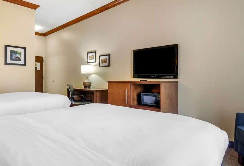 فندق Comfort Inn & Suites Statesboro  University Area