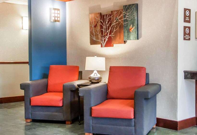 فندق Comfort Inn & Suites
