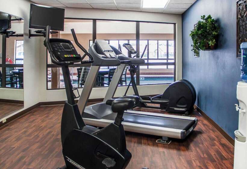 فندق Comfort Inn & Suites