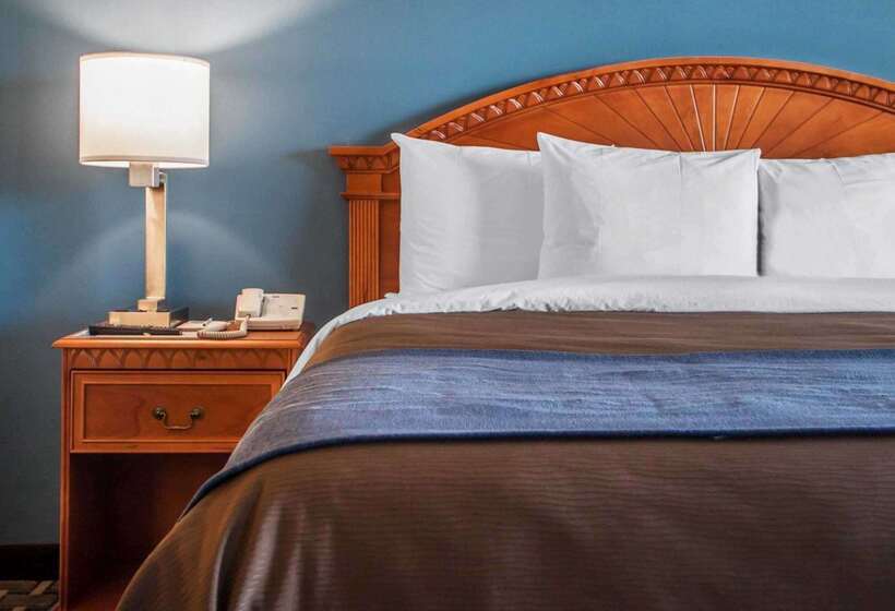 فندق Comfort Inn & Suites