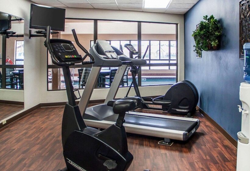 فندق Comfort Inn & Suites