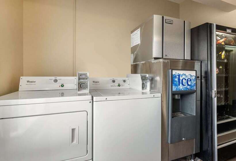 호텔 Comfort Inn Walcott Near Davenport