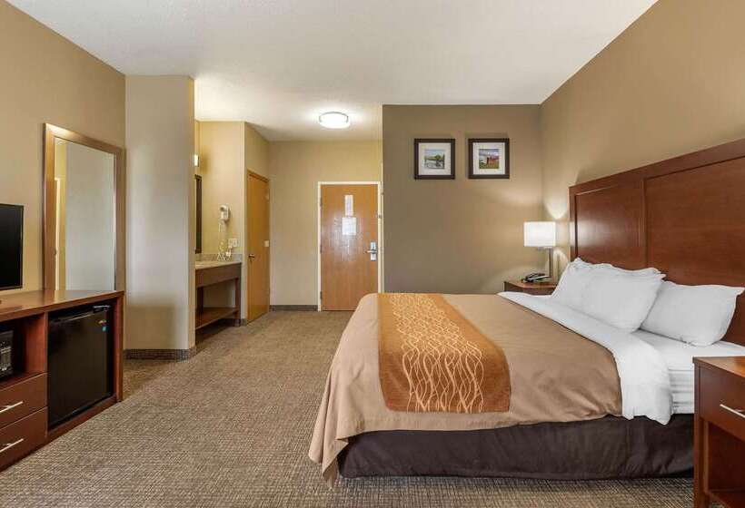 호텔 Comfort Inn Walcott Near Davenport