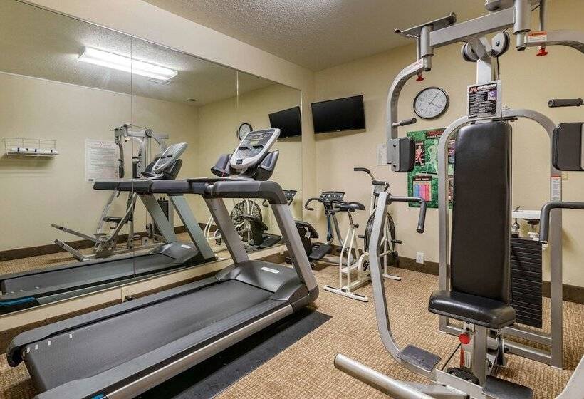 호텔 Comfort Inn Walcott Near Davenport