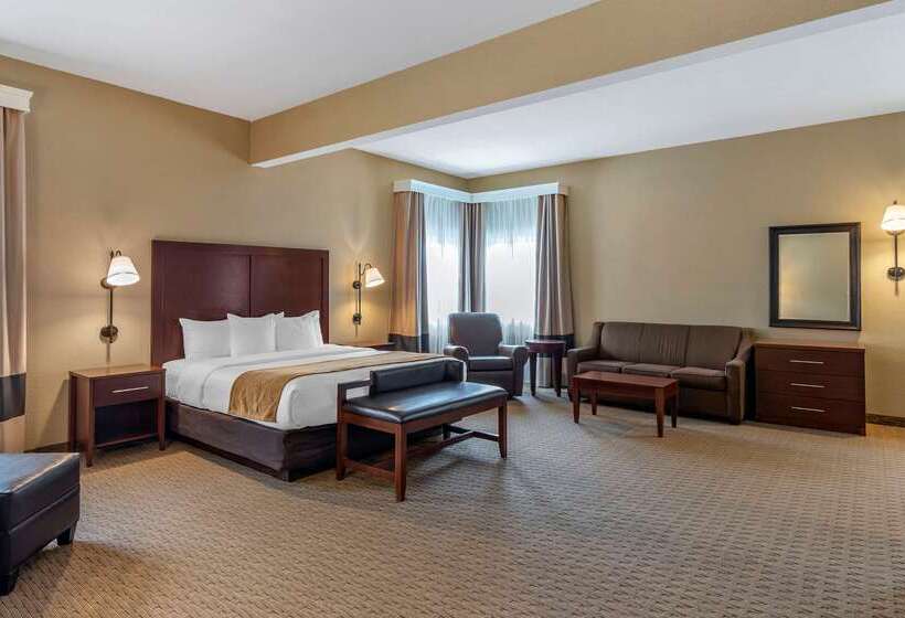 酒店 Comfort Inn Warrensburg Station