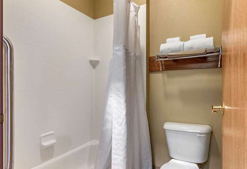 酒店 Comfort Inn Warrensburg Station