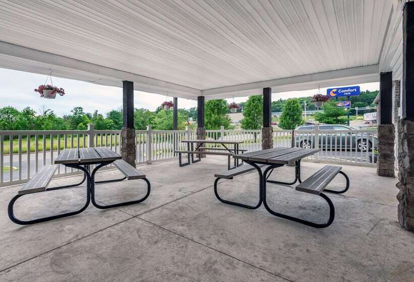 Отель Comfort Inn