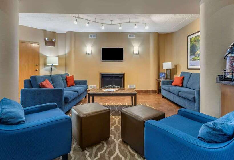 Отель Comfort Inn