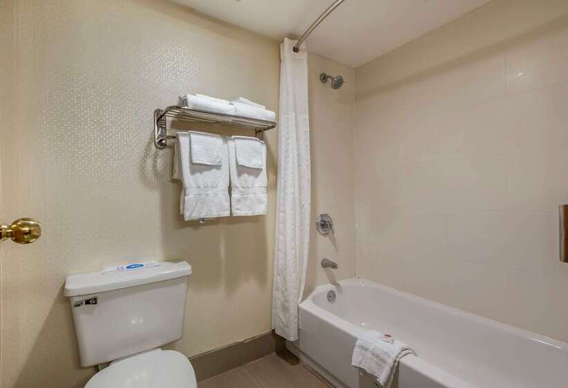 בית מלון כפרי Comfort Inn