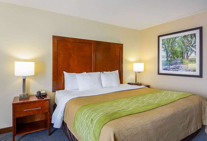 فندق Comfort Inn Woodstock Shenandoah