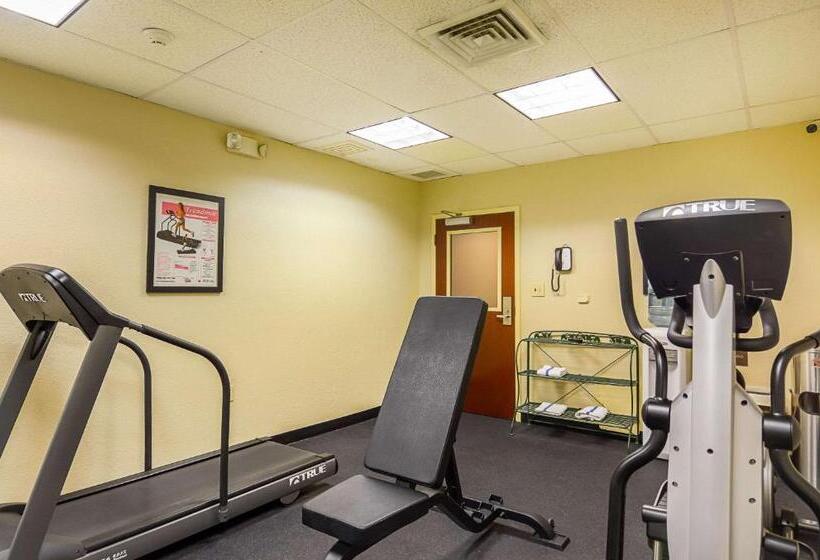 בית מלון כפרי Comfort Inn Woodstock Shenandoah