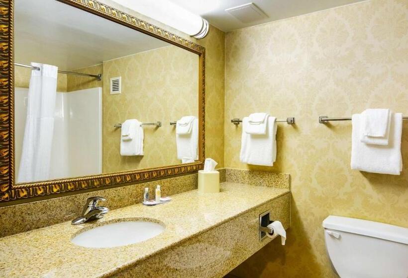 בית מלון כפרי Comfort Inn Woodstock Shenandoah