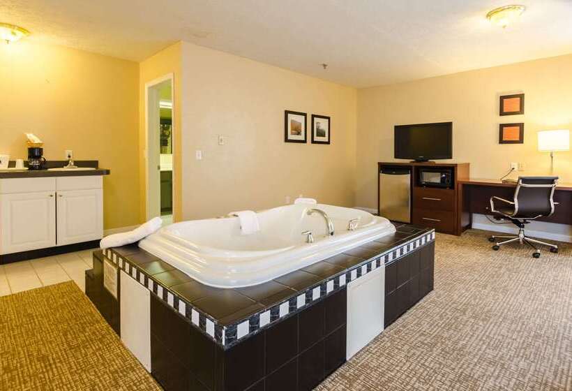 فندق Comfort Inn  Wytheville Fort Chiswell