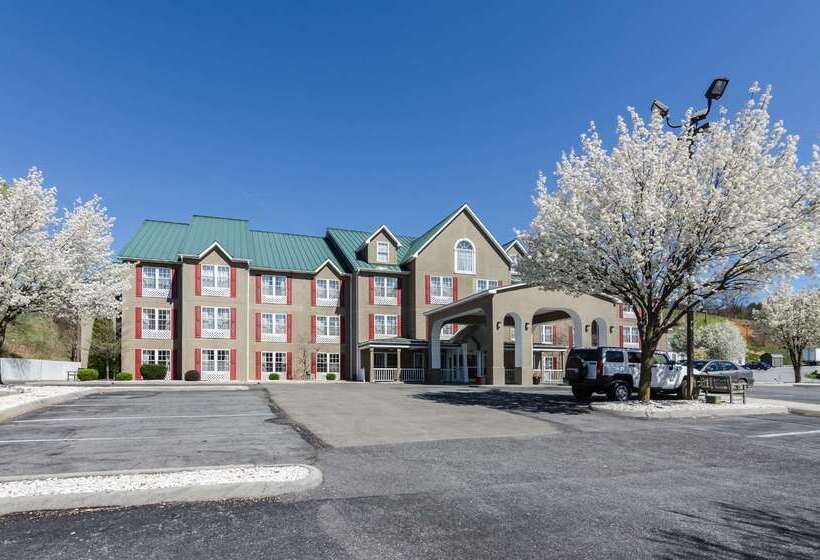 فندق Comfort Inn  Wytheville Fort Chiswell