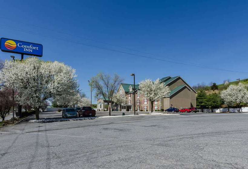 בית מלון כפרי Comfort Inn  Wytheville Fort Chiswell