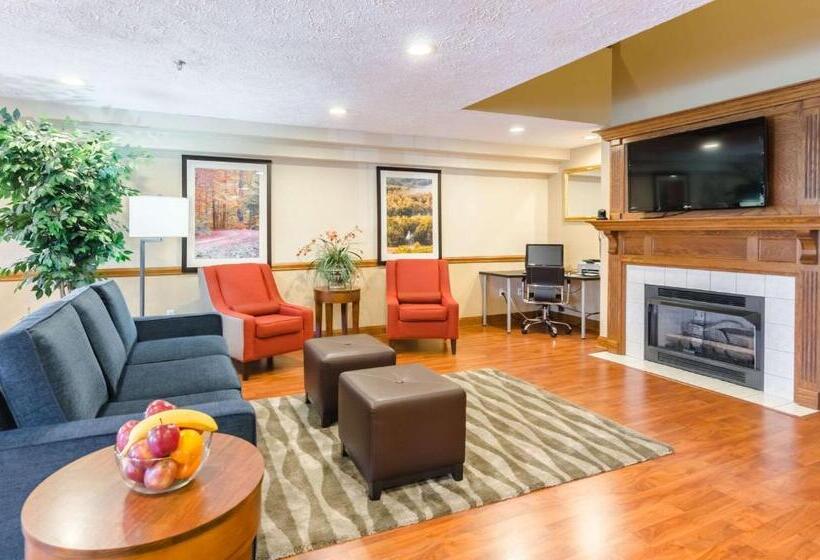 فندق Comfort Inn  Wytheville Fort Chiswell