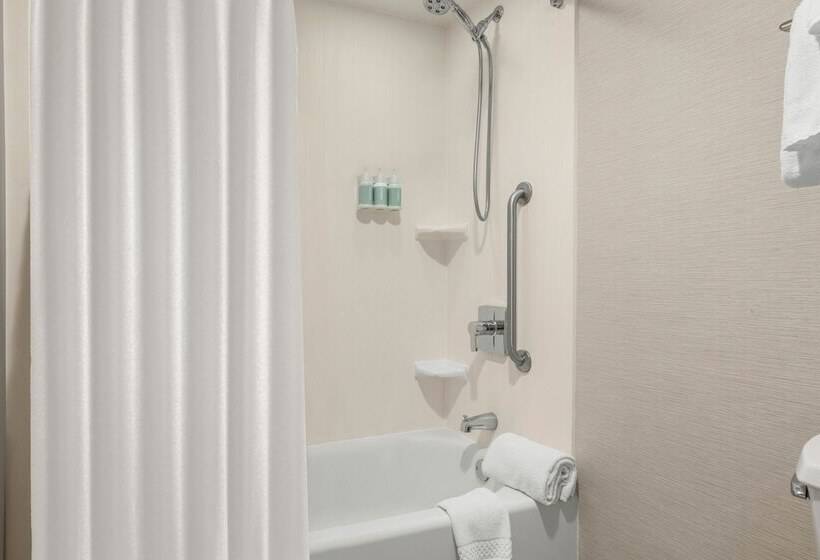 בית מלון כפרי Courtyard Boise Downtown