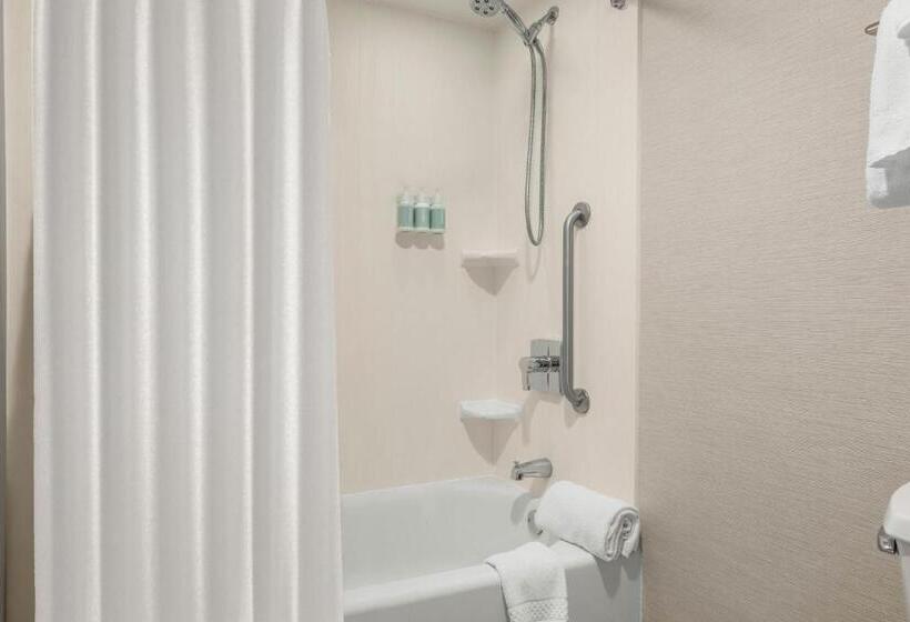 בית מלון כפרי Courtyard Boise Downtown