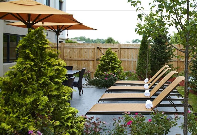 فندق Courtyard By Marriott Buffalo Amherst/university