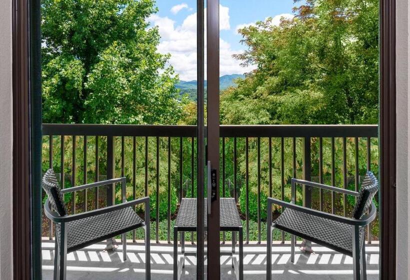 فندق Courtyard Asheville