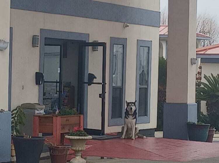 호텔 Days Inn & Suites By Wyndham Braunig Lake