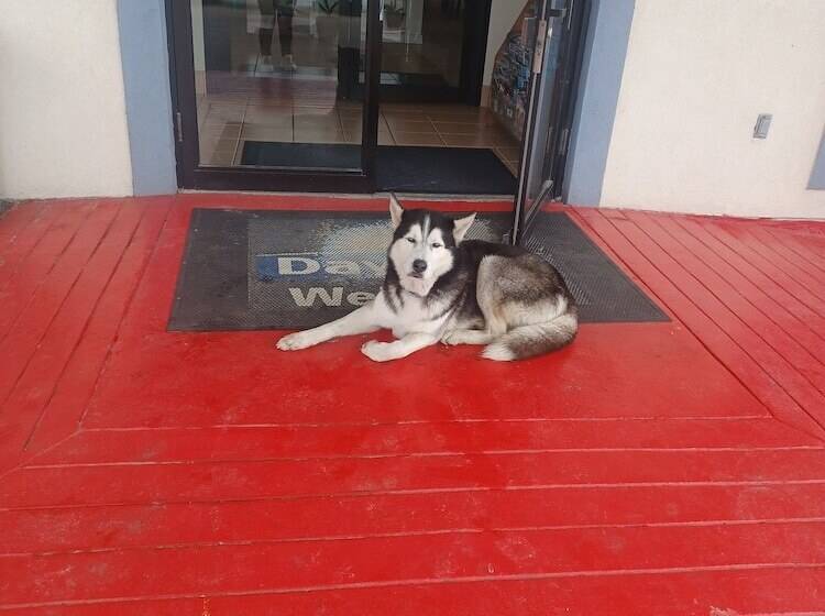 호텔 Days Inn & Suites By Wyndham Braunig Lake