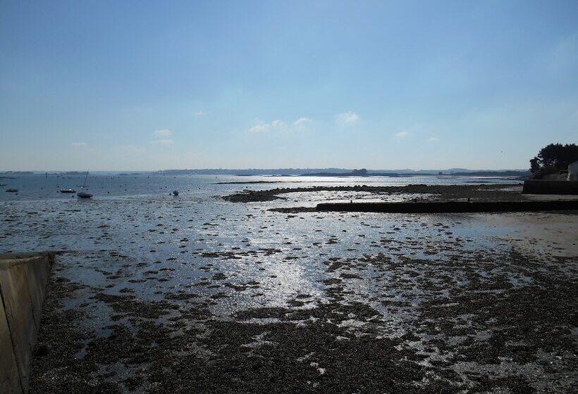 Отель De France