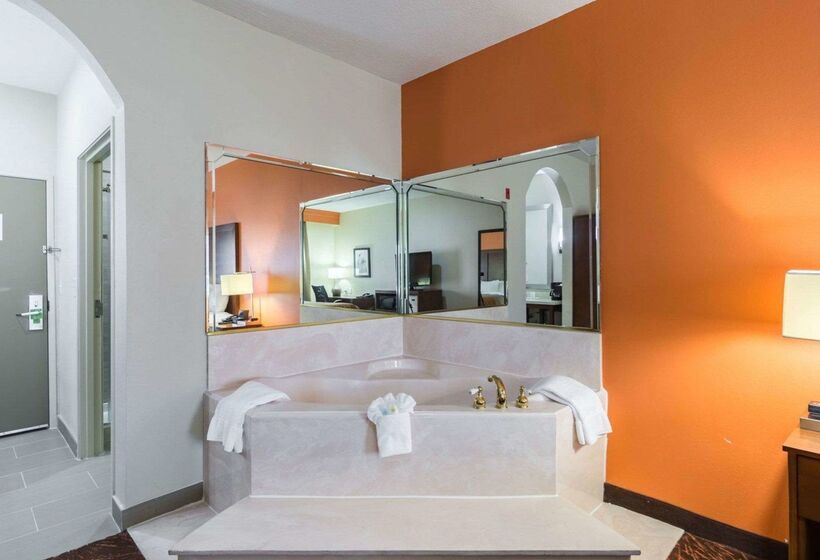 בית מלון כפרי Econo Lodge Inn & Suites East Houston I10