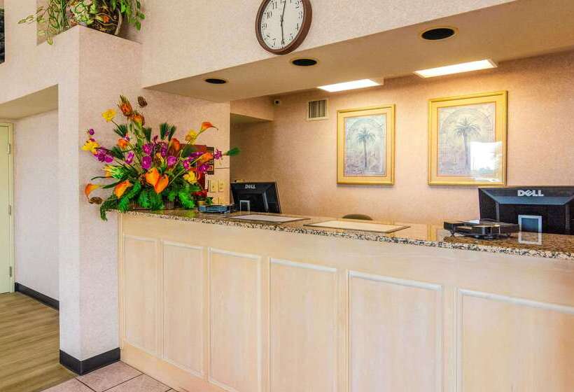 فندق Econo Lodge  Inn & Suites