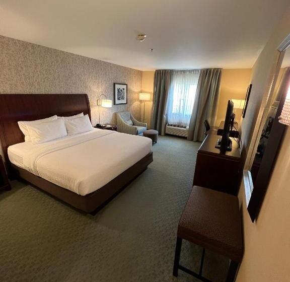 酒店 Fairfield Inn & Suites By Marriott Great Barrington Lenox/berkshires