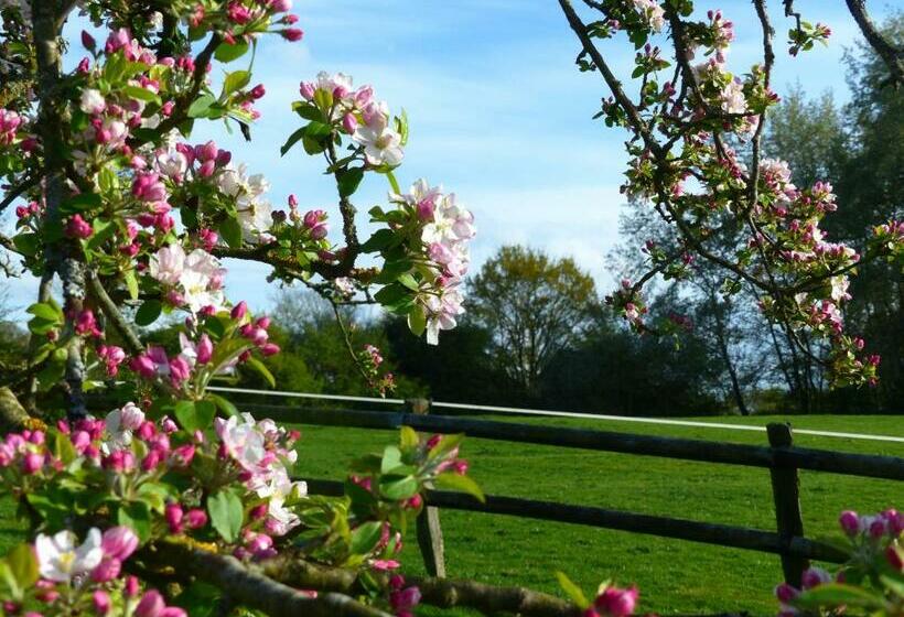 ホテル Le Domaine Des Tostes