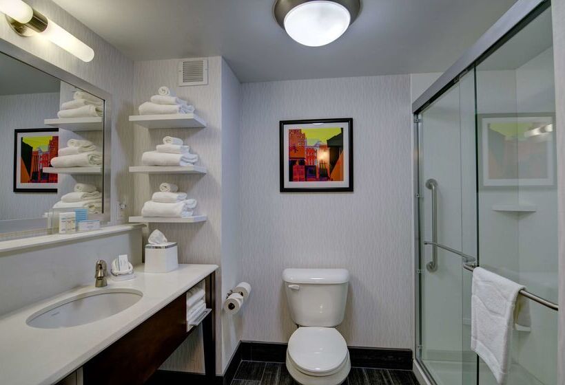 فندق Hampton Inn Salem, Va