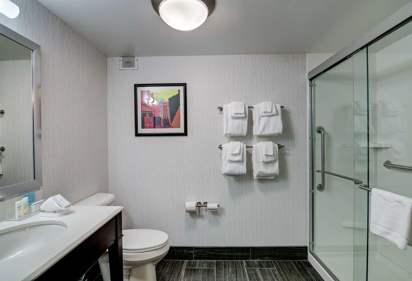 فندق Hampton Inn Salem, Va