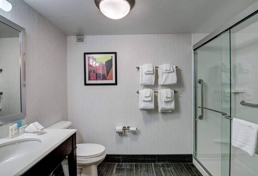 فندق Hampton Inn Salem, Va