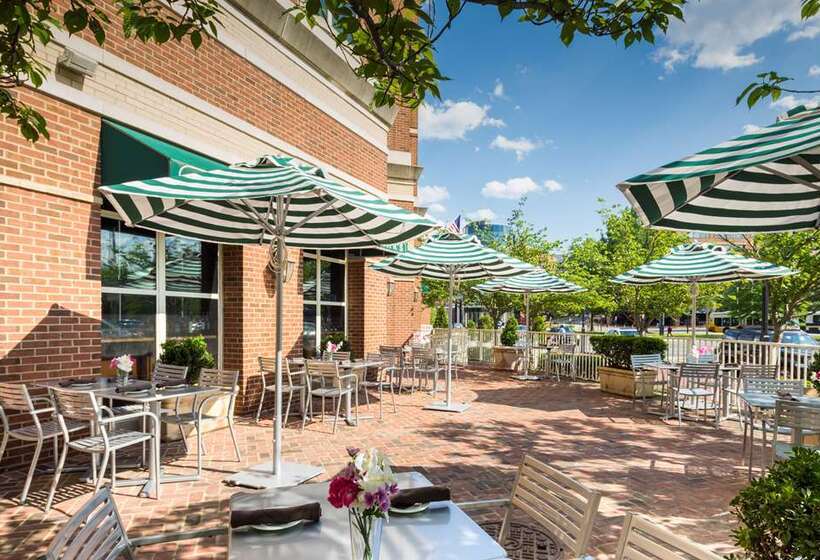 Отель Hilton Alexandria Old Town