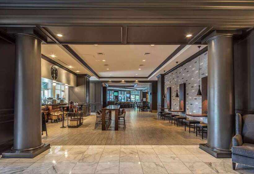 هتل Hilton Alexandria Old Town