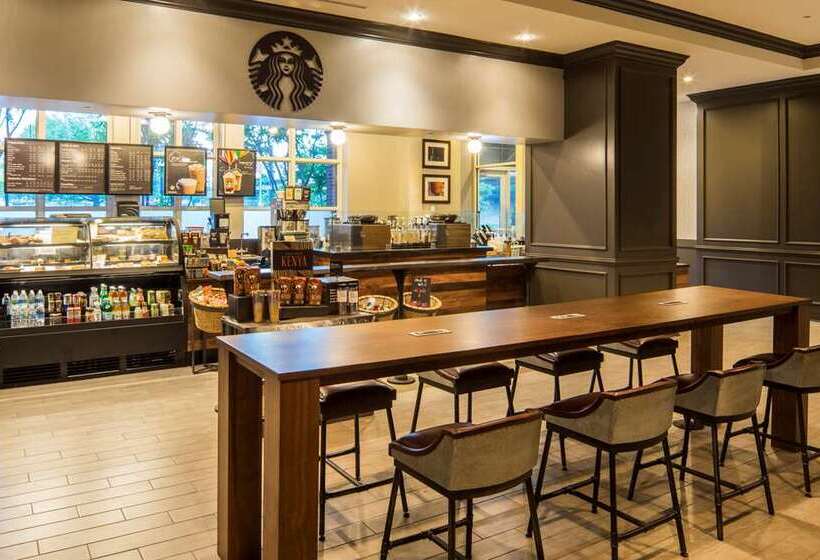 Отель Hilton Alexandria Old Town